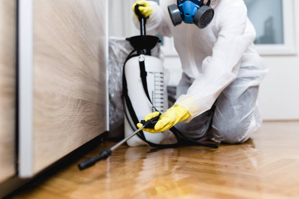 Best Pest Control for Restaurants  in Bloomingdale, IL