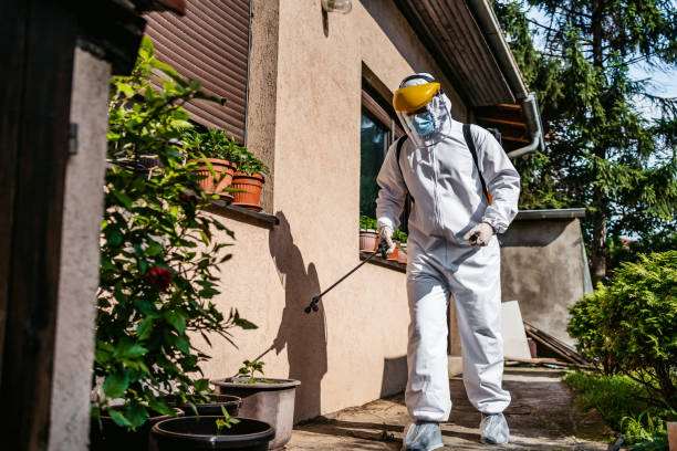 Trusted Bloomingdale, IL Pest Control Experts