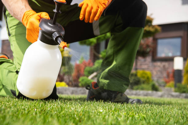 Best Best Pest Control Companies  in Bloomingdale, IL