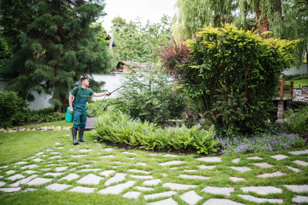 Professional Pest Control in Bloomingdale, IL