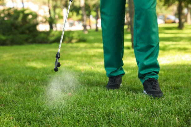 Best Cockroach Control Services  in Bloomingdale, IL