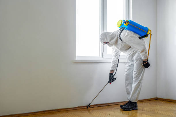 Best Pest Removal Services  in Bloomingdale, IL