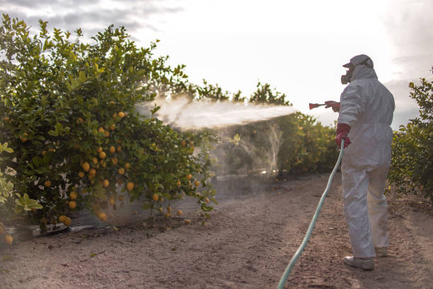 Insect Control in Bloomingdale, IL