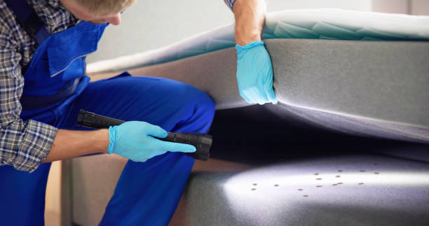Best Pest Control for Businesses  in Bloomingdale, IL