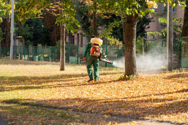Best Wildlife Control Services  in Bloomingdale, IL
