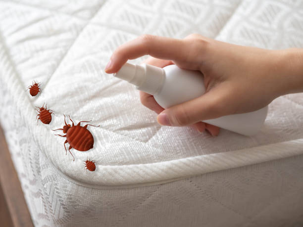 Best Pest Control Near Me  in Bloomingdale, IL