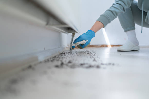 Best Best Pest Control Companies  in Bloomingdale, IL